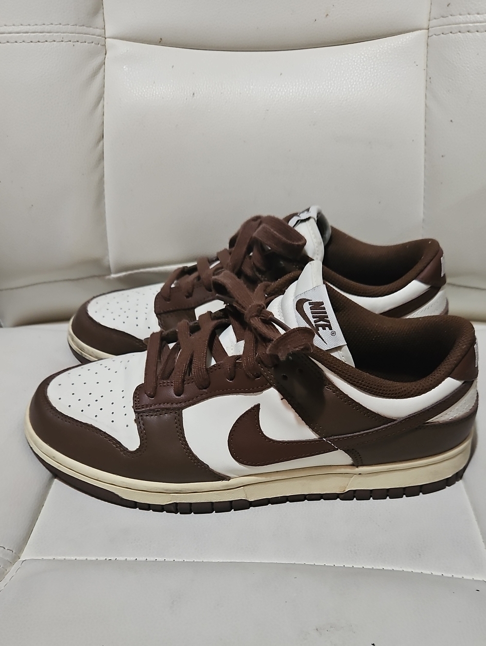 Nike Dunk Brown and White Low-Top Sneakers